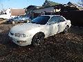 Фото Nissan Presea