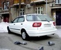 Фото Suzuki Cultus универсал 1 поколение 