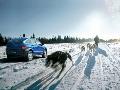 Фото SsangYong Actyon 2.3 MT