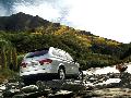 Фото Ssangyong Kyron
