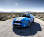Описание Ford Shelby