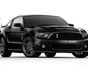 Фото Ford Shelby