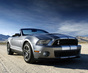 Фото Ford Shelby